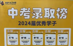 案例成绩3